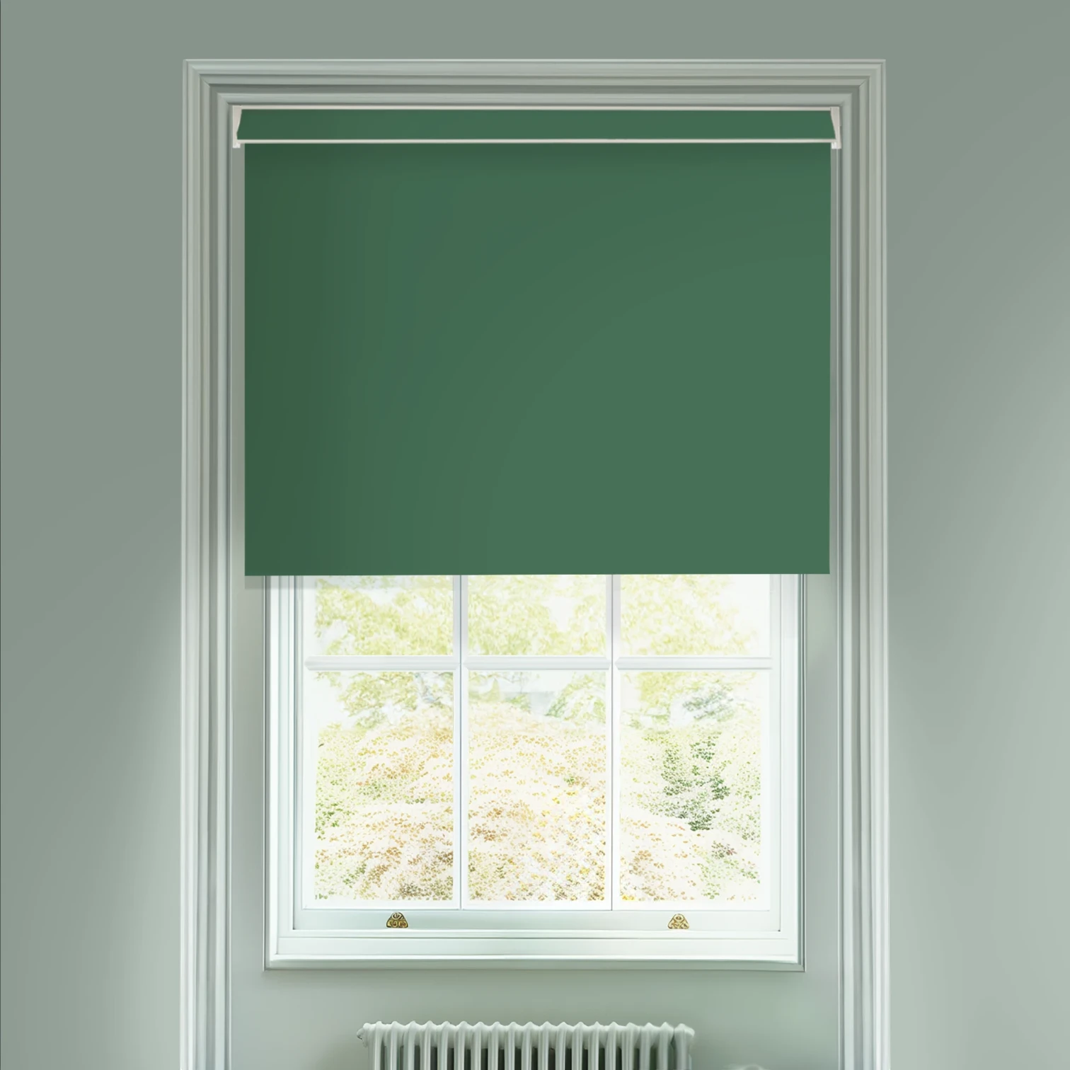 Cucumber Green Daylight Electric Roller Blind