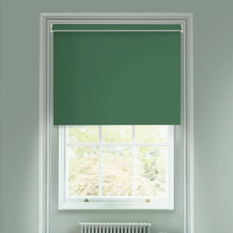 Cucumber Green Daylight Electric Roller Blind