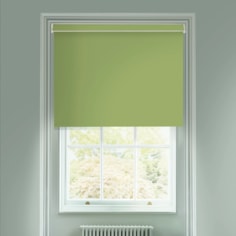 Avocado Green Daylight Electric Roller Blind